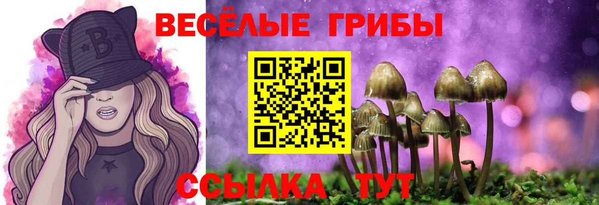 Галлюциногенные грибы Cubensis  Псилоцибиновые грибы прущие грибы  Семилуки  Вход с VPN 